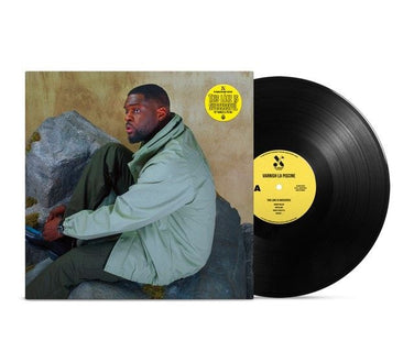 Varnish La Piscine - This Lake Is Successful Vinyl LP