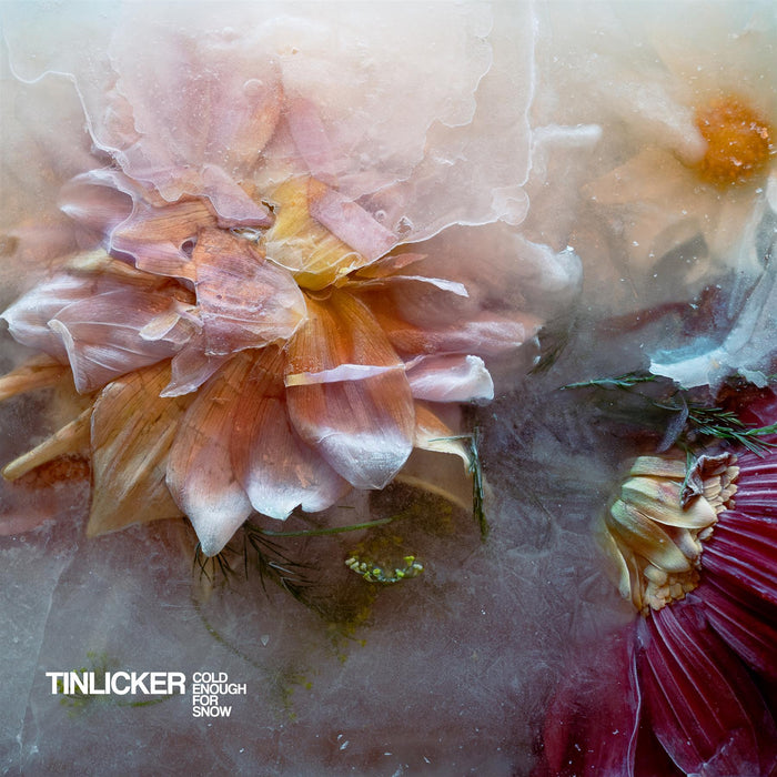 Tinlicker - Cold Enough For Snow Vinyl LP
