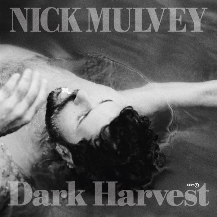 Nick Mulvey - Dark Harvest Pt. 1 Silver Vinyl LP
