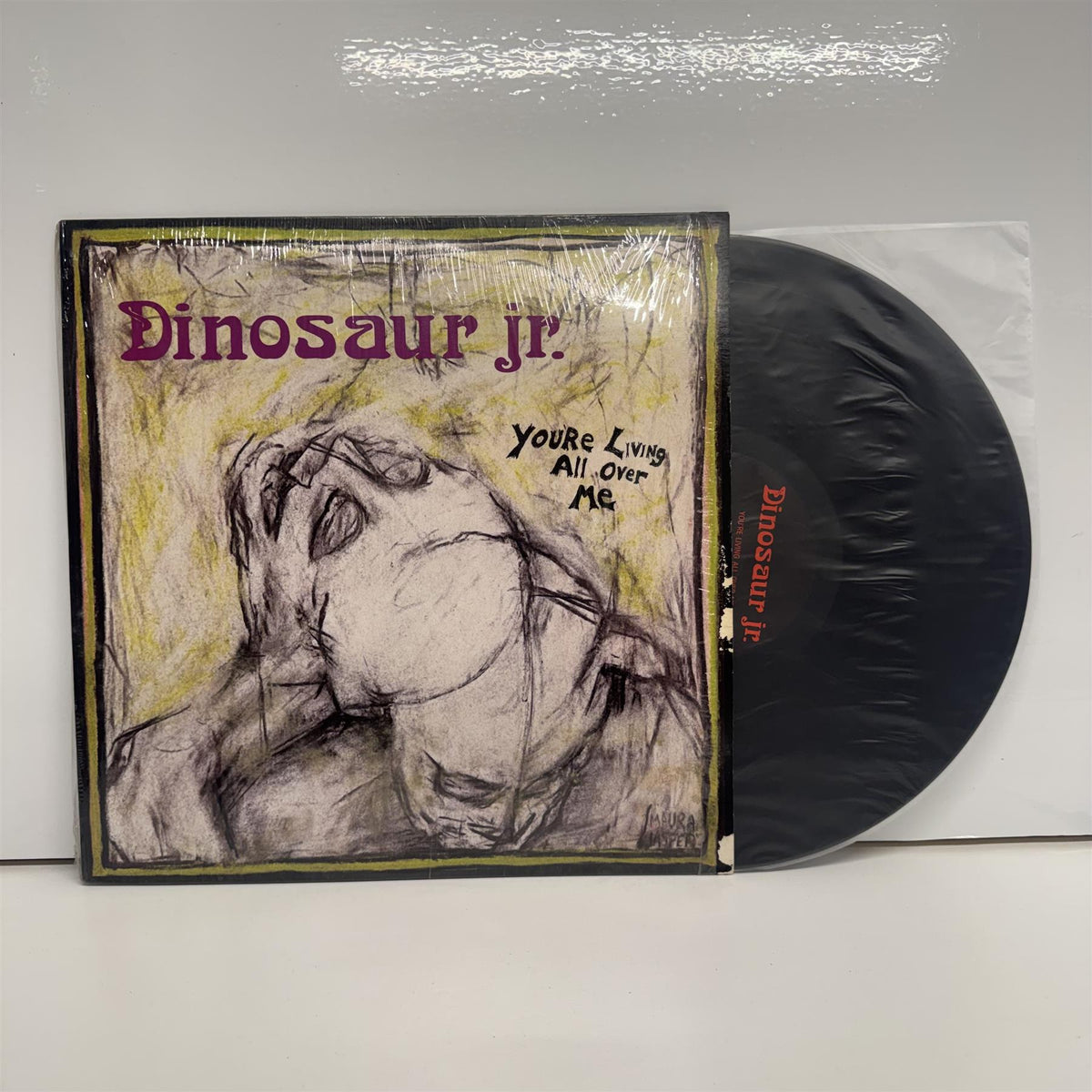 Dinosaur Jr. - You're Living All Over Me US 1987 Vinyl LP Reissue