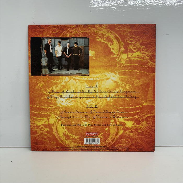 Life Of Agony - Soul Searching Sun 180G Vinyl LP