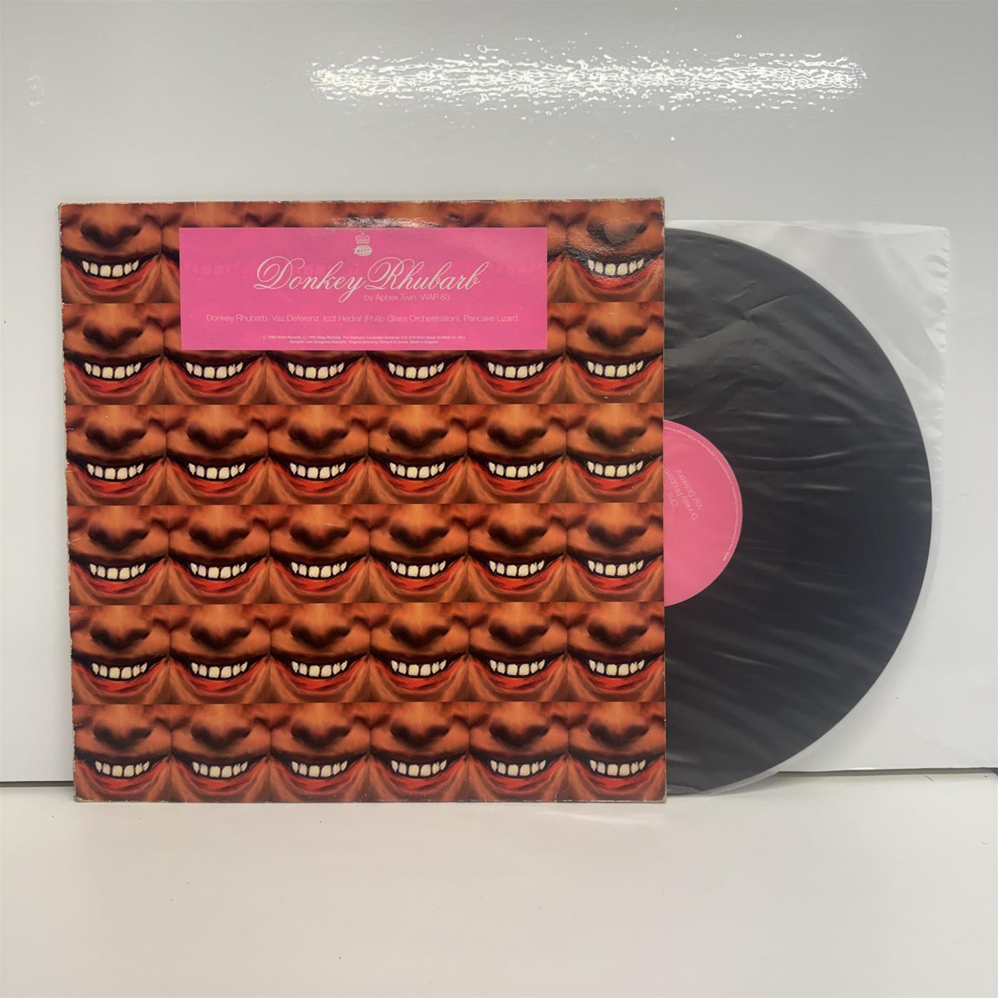 Aphex Twin - Donkey Rhubarb 12" Vinyl Single