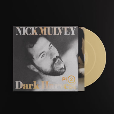 Nick Mulvey - Dark Harvest Pt. 2
