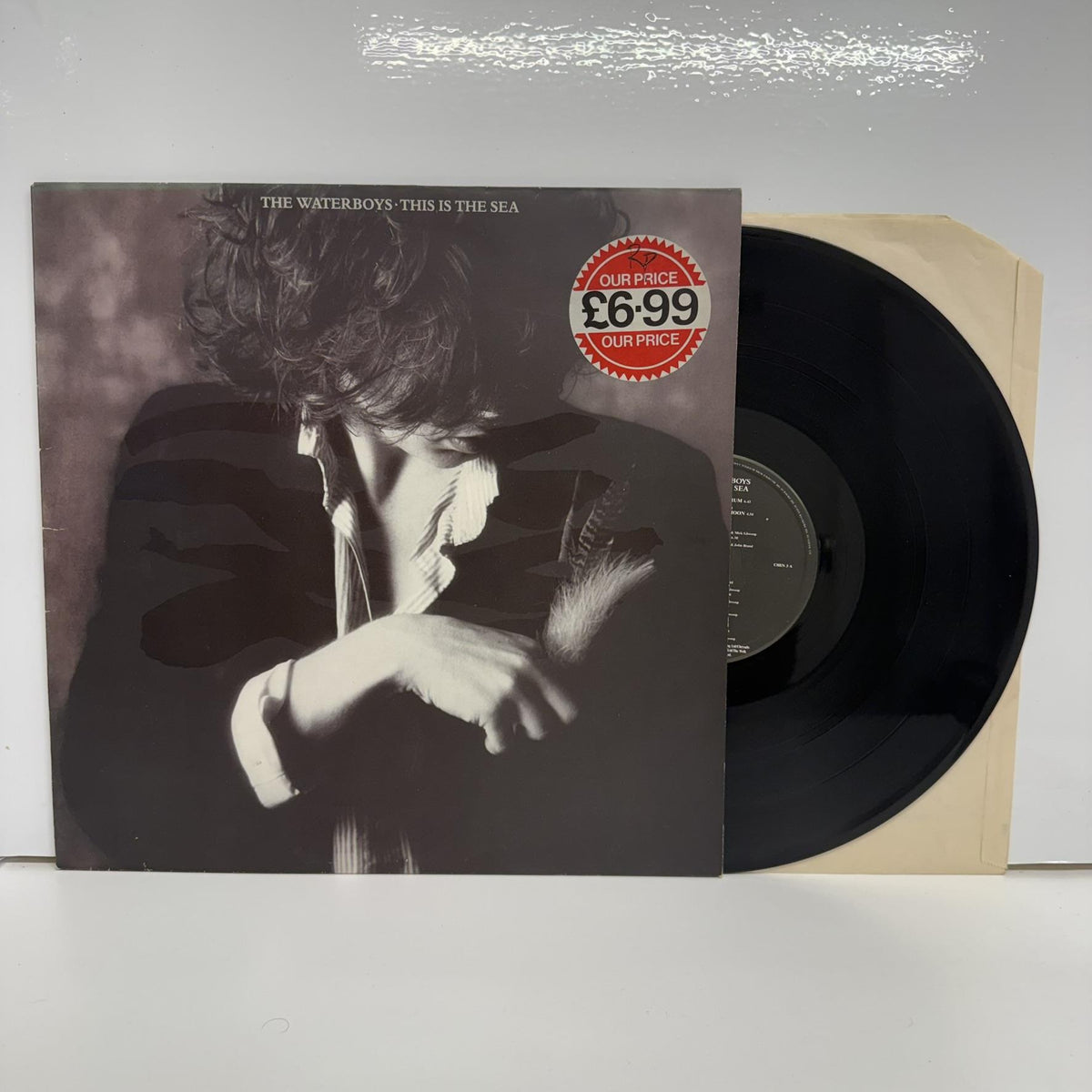 The Waterboys - This Is The Sea Vinyl LP