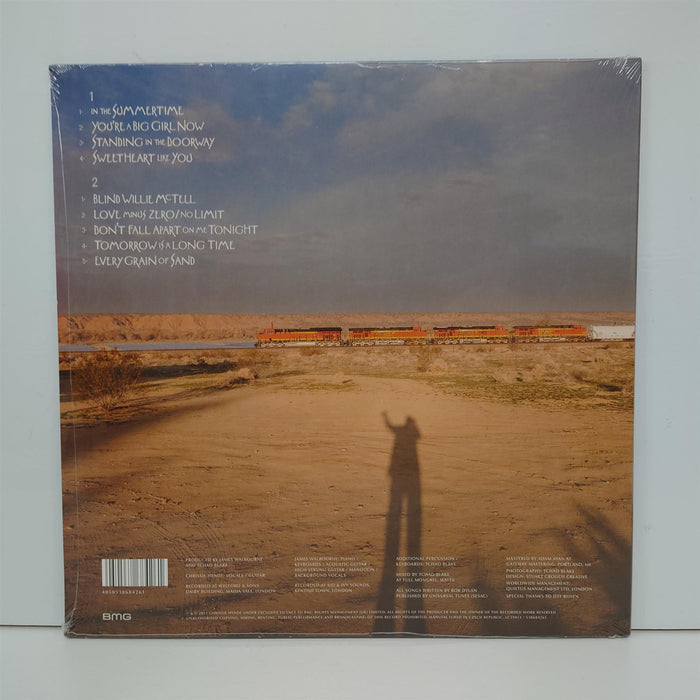 Chrissie Hynde - Standing In The Doorway: Chrissie Hynde Sings Bob Dylan Vinyl LP