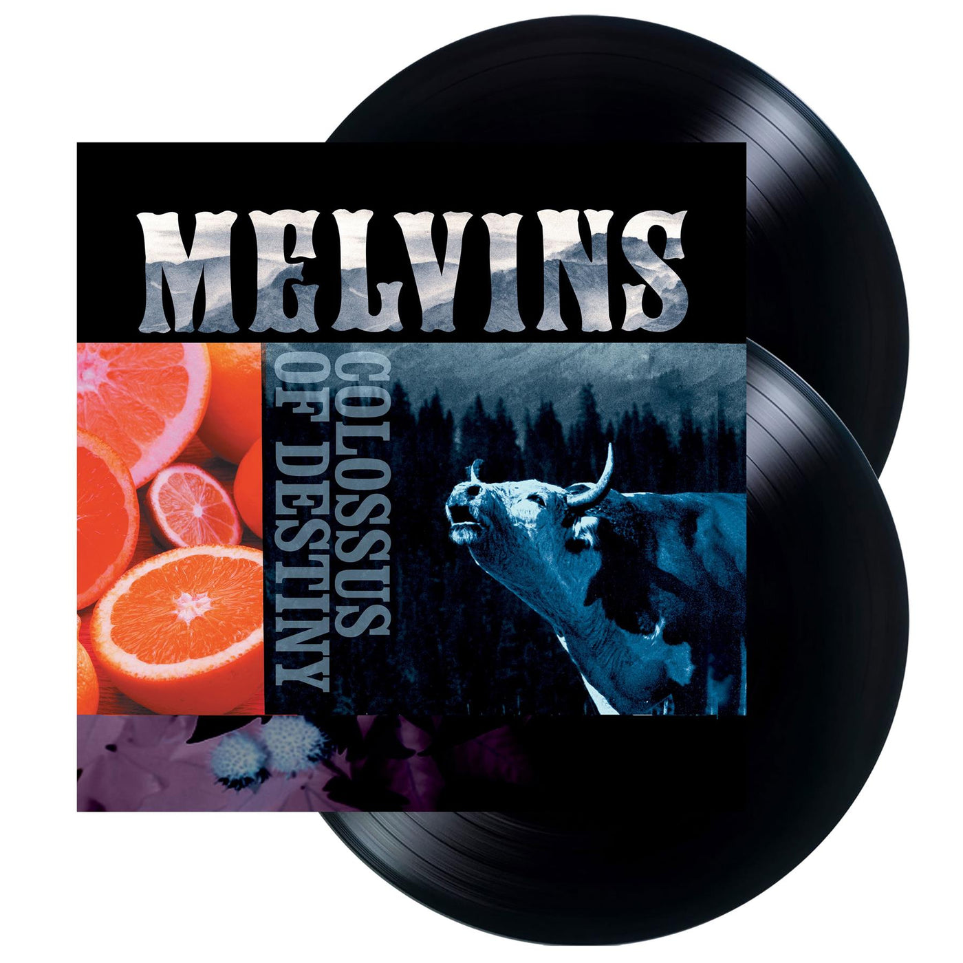 Melvins - Colossus Of Destiny  2x Vinyl LP Reissue