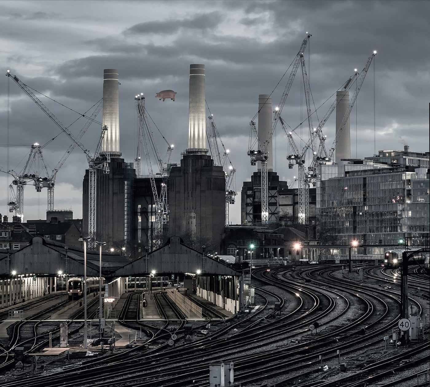 Pink Floyd - Animals (2018 Remix) Vinyl LP Reissue