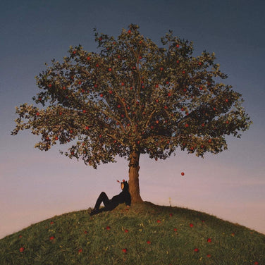 Slowthai – TYRON Vinyl LP