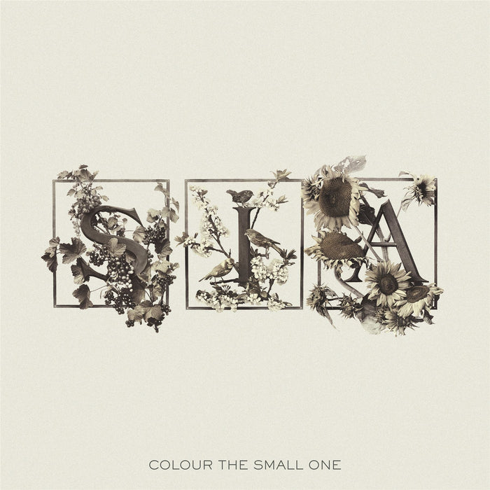 Sia - Colour The Small One RSD 2024 2x White / Transparent Vinyl LP