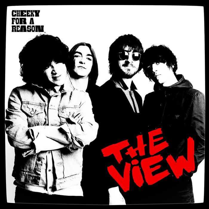 The View - Cheeky for a Reason National Album Day & Clear Smokey Vinyl LP