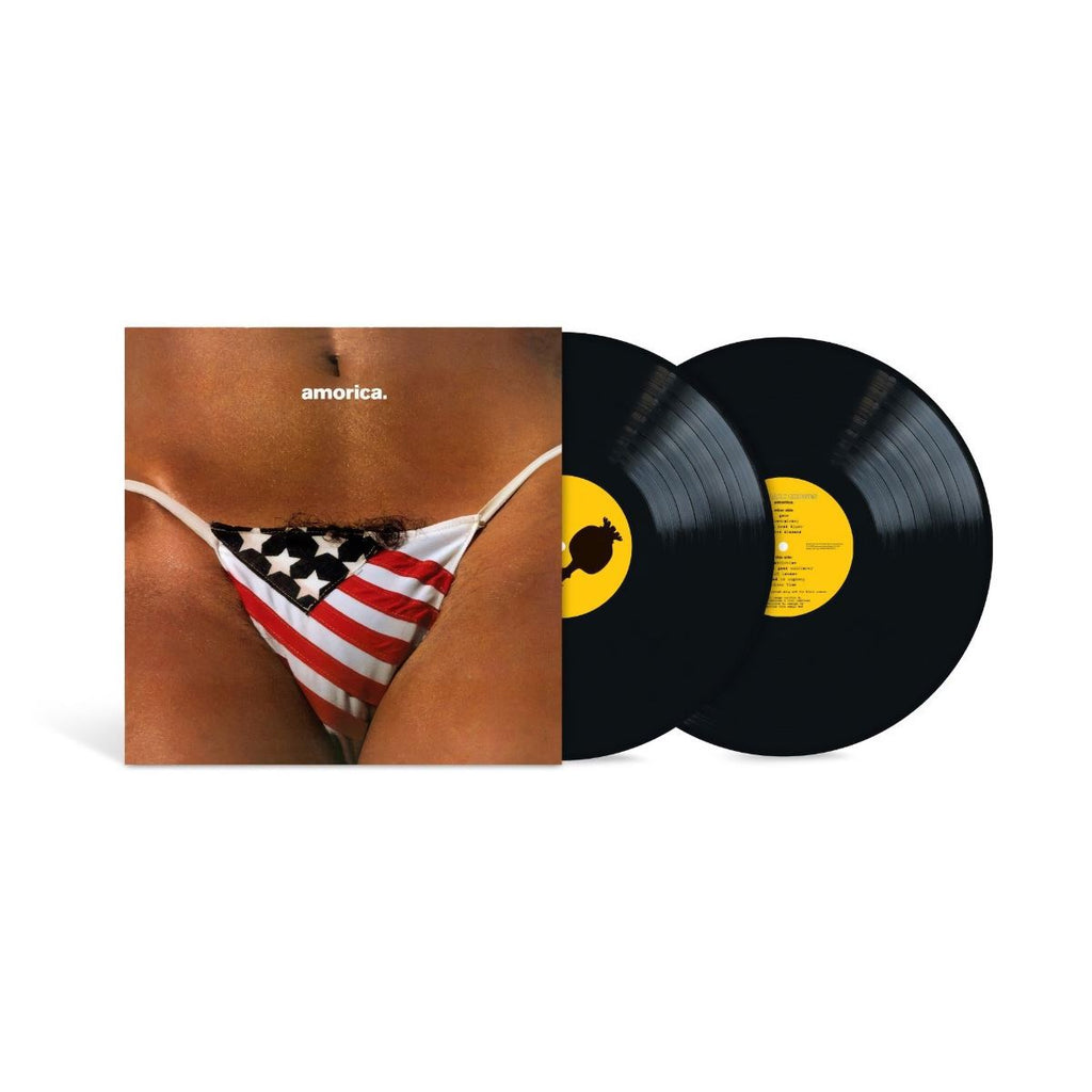 【LP/US盤】The Black Crowes / Amorica. The Black Crowes - Amorica. Vinyl LP | Dig In Records