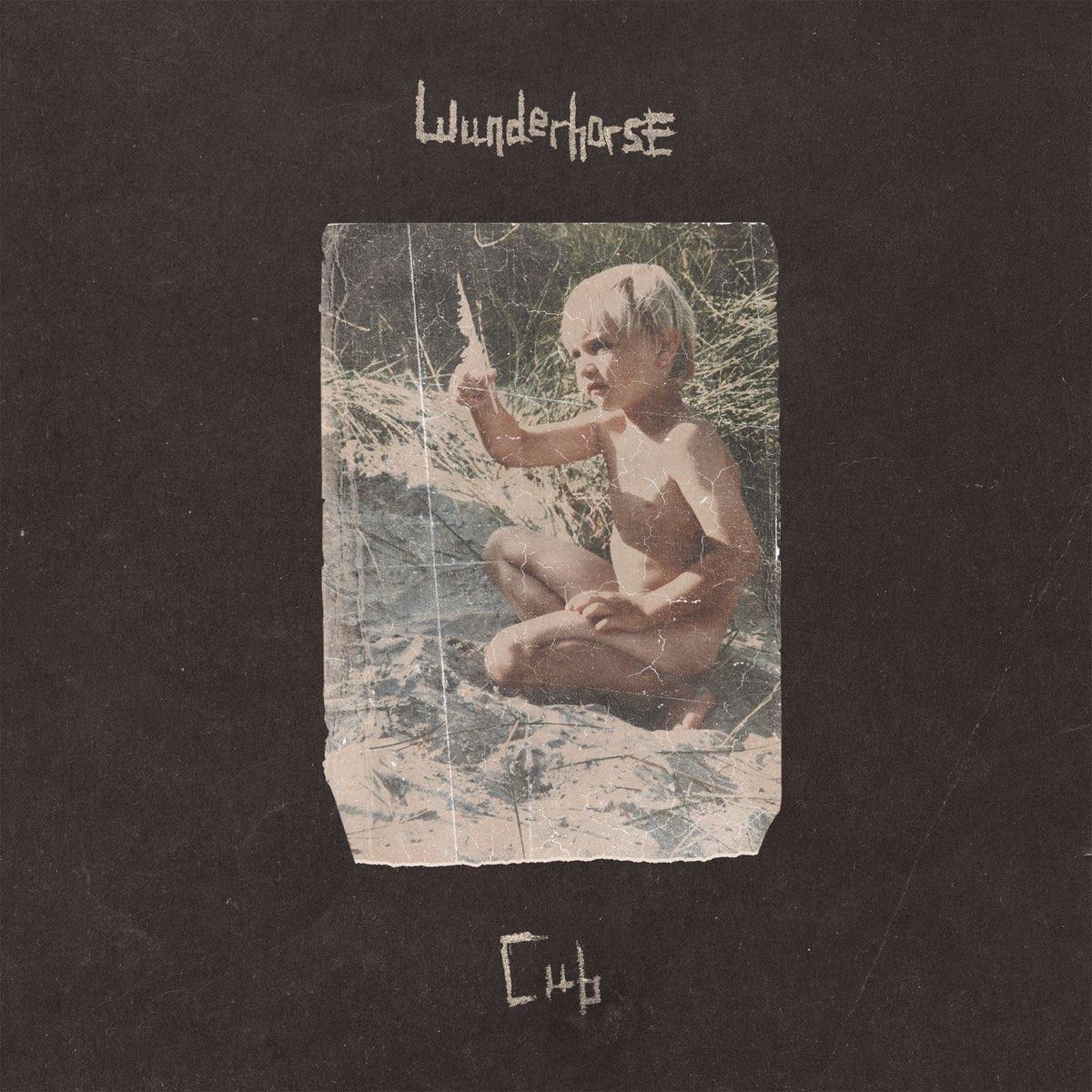 Wunderhorse - Cub Indies Exclusive Clear Vinyl LP Reissue