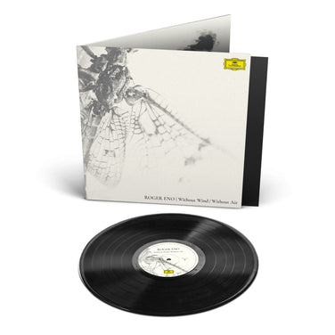 Angled view of a delicate insect wing with fine veins, beside text “ROGER ENO | Without Wind / Without Air”.