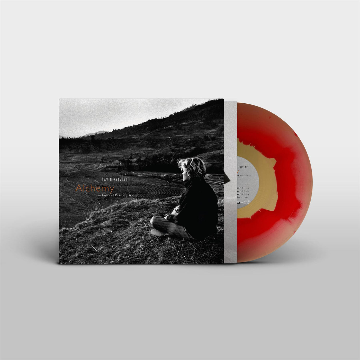 David Sylvian - Alchemy: An Index Of Possibilities Corona Gold & Red Vinyl LP Reissue