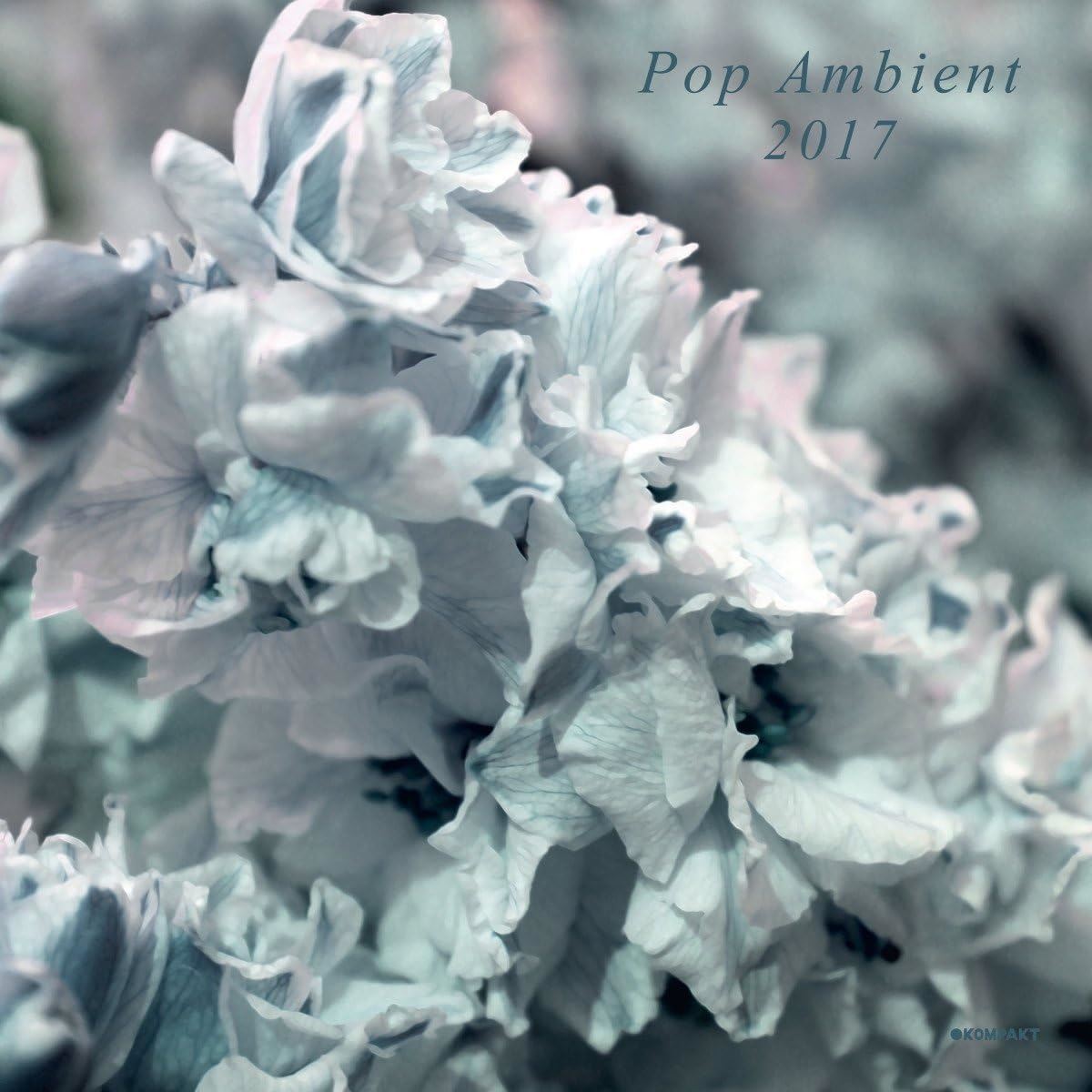 Pop Ambient 2017 - V/A Vinyl LP