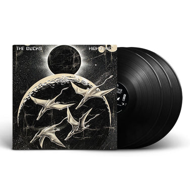 The Ducks - High Flyin’