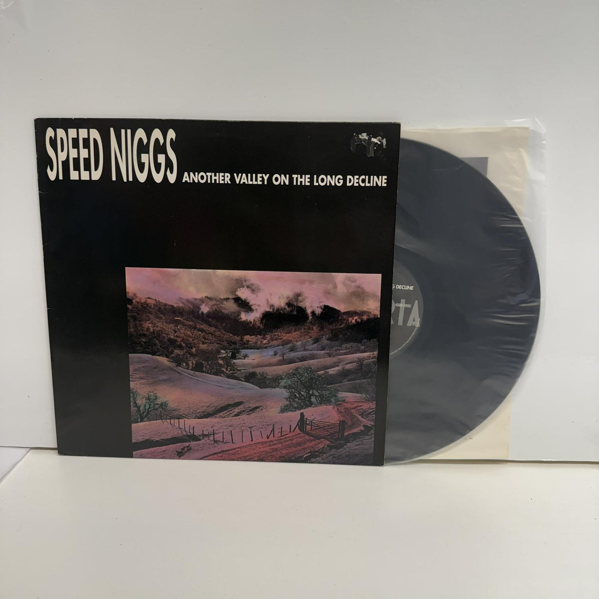 Speed Niggs - Another Valley On The Long Decline Vinyl LP