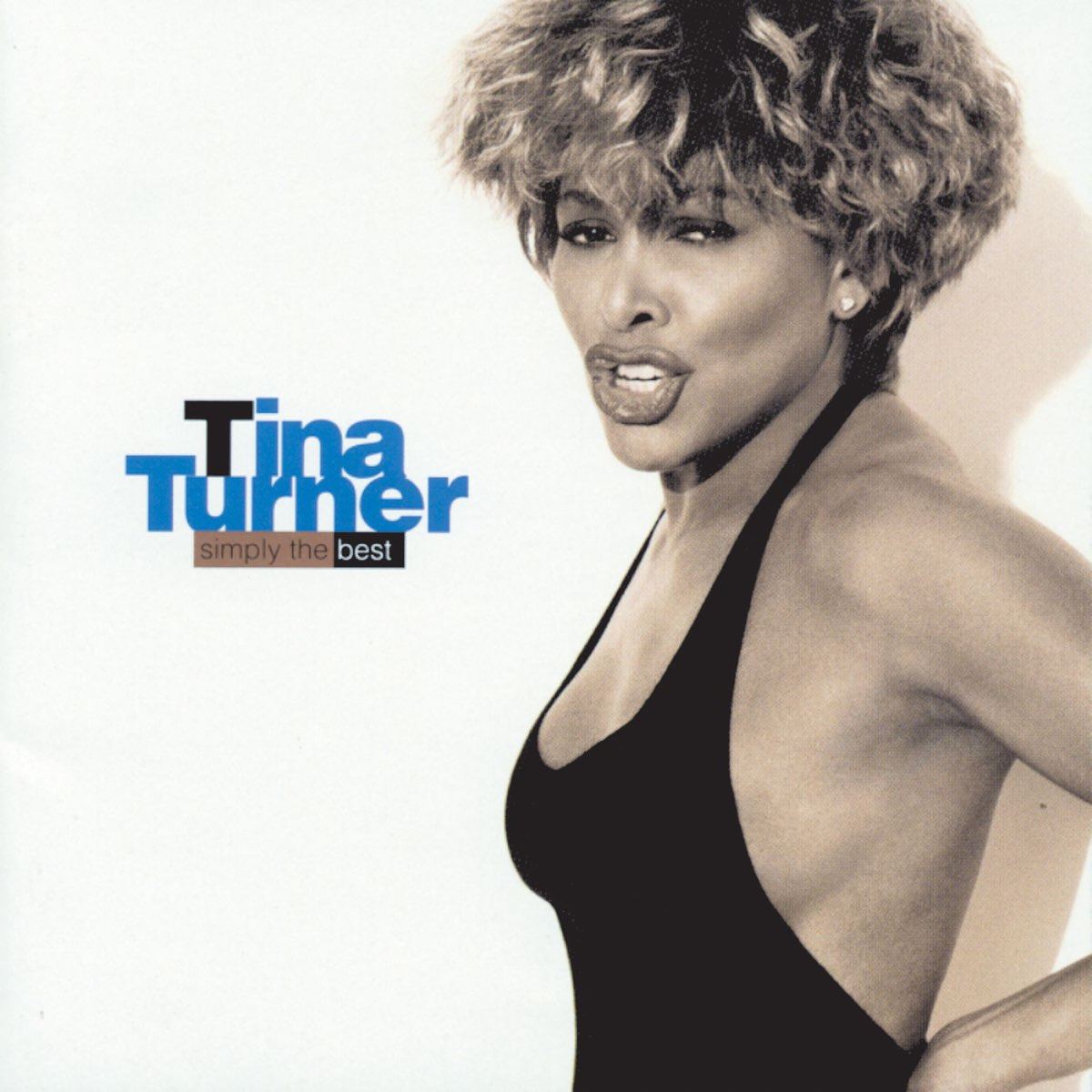 Tina Turner - Simply The Best 2x Vinyl LP Reissue