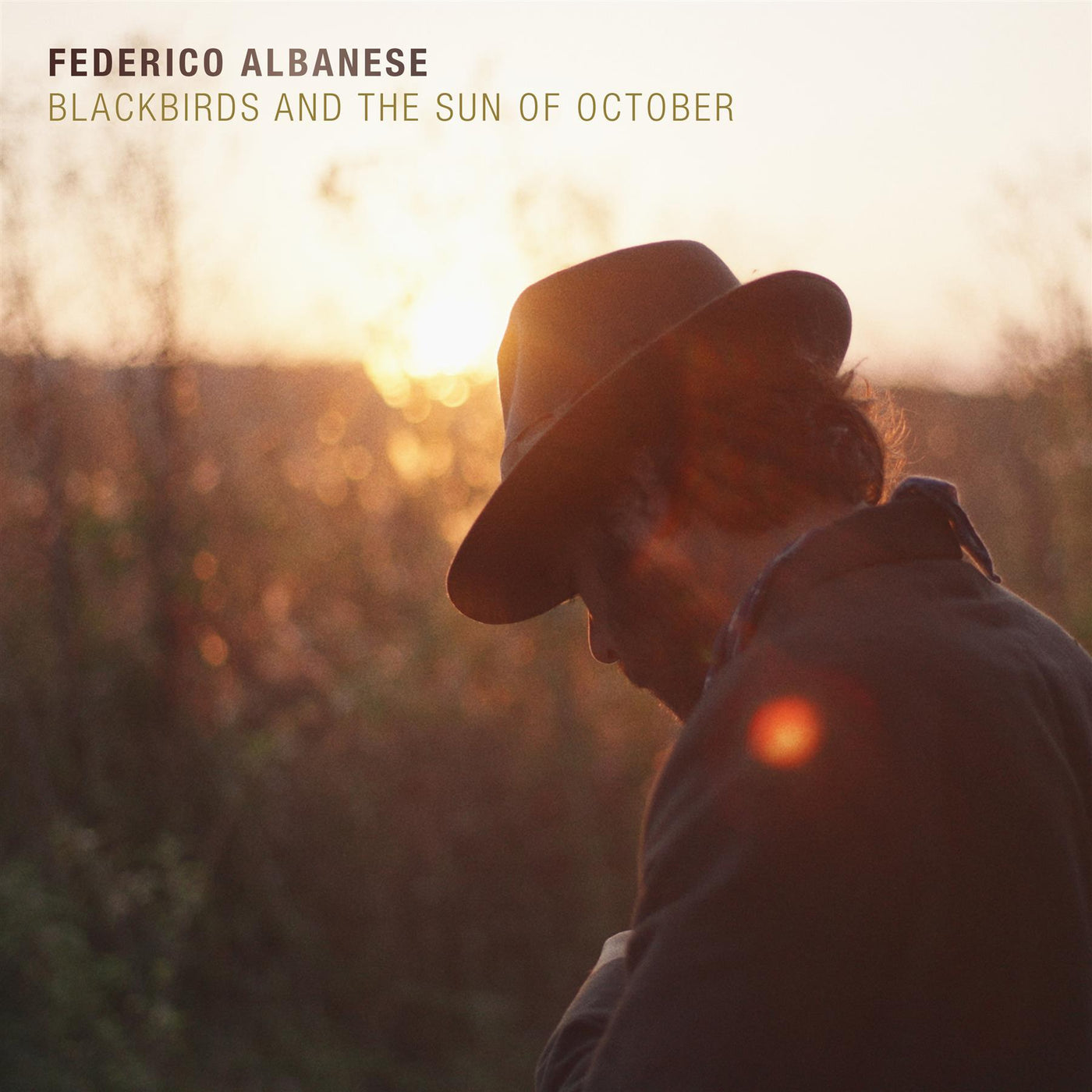Federico Albanese - Blackbirds and the Sun of October Vinyl LP