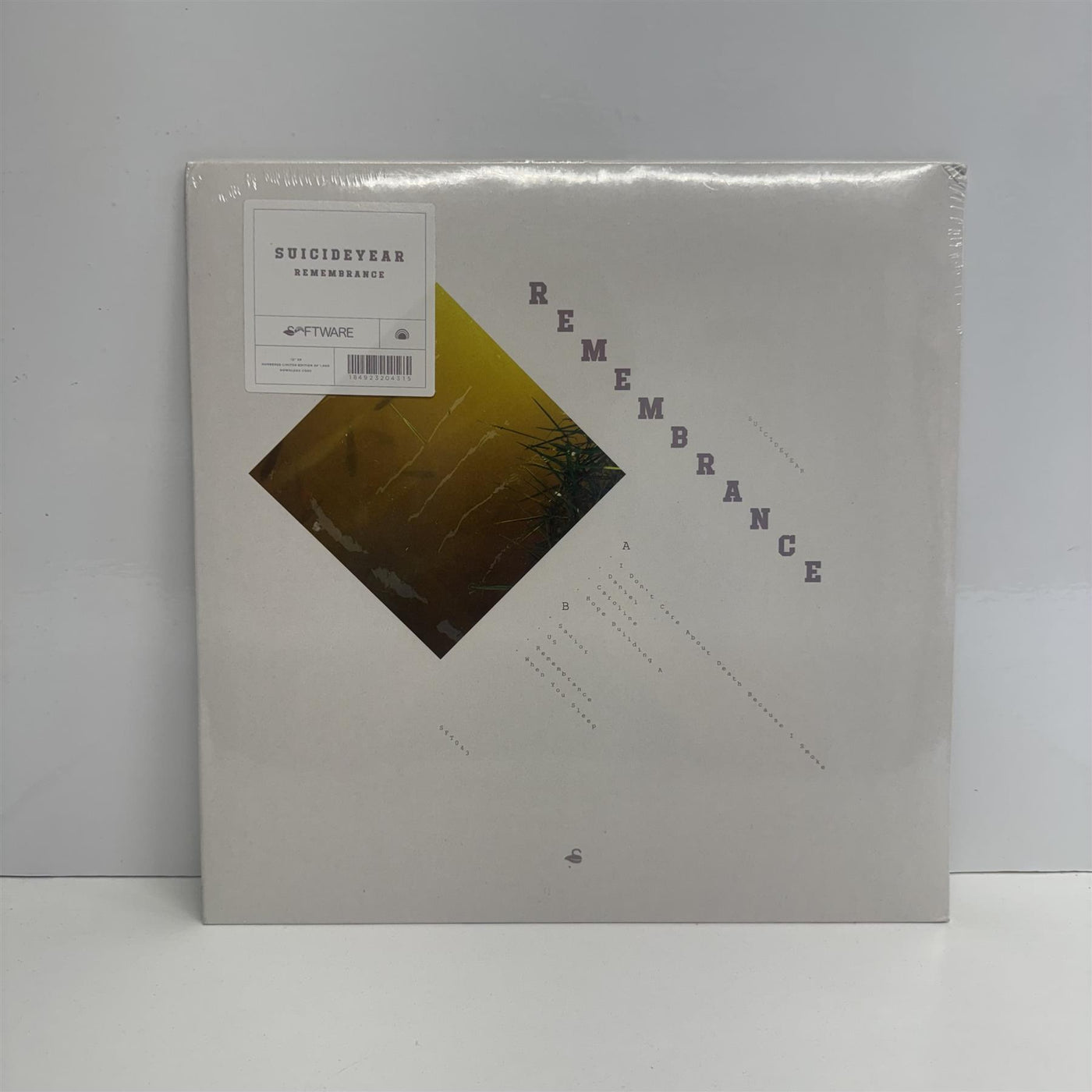 Suicideyear - Remembrance Limited Edition Vinyl LP