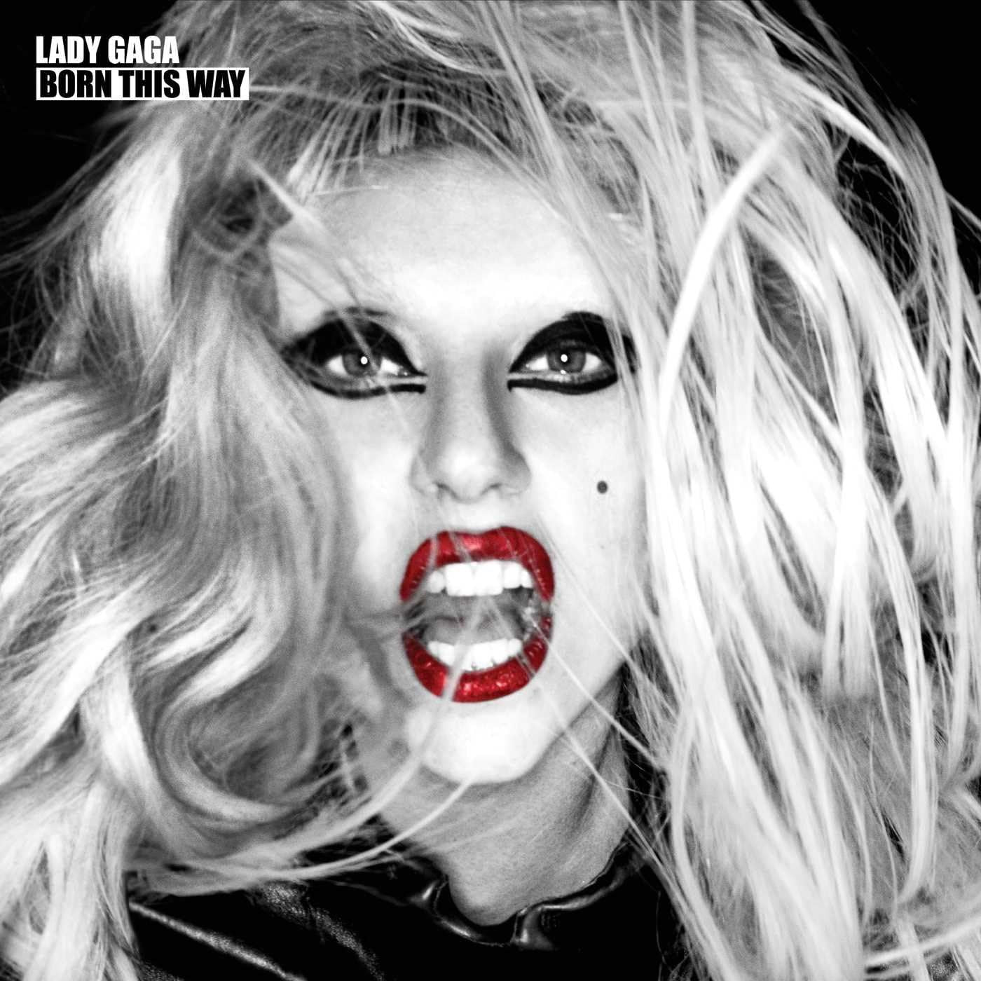 Lady Gaga - Born This Way 2x Vinyl LP