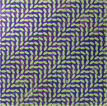 Animal Collective - Merriweather Post Pavilion 2x Vinyl LP Reissue