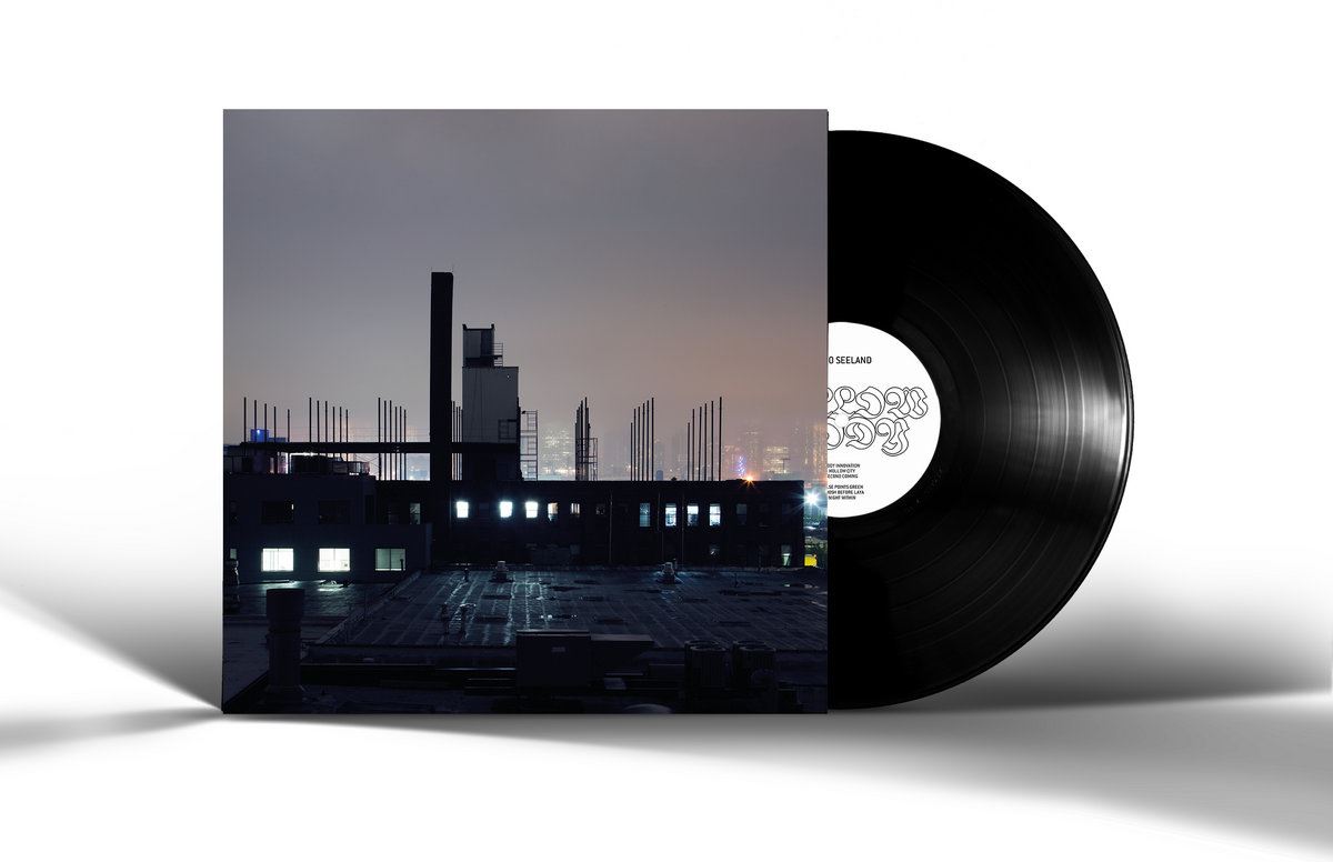 Remo Seeland - Hollow Body Vinyl LP