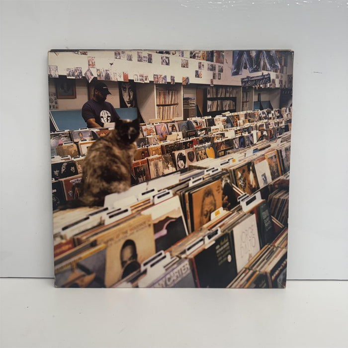 DJ Shadow - Endtroducing..... 2x Vinyl LP