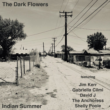 The Dark Flowers - Indian Summer Vinyl LP