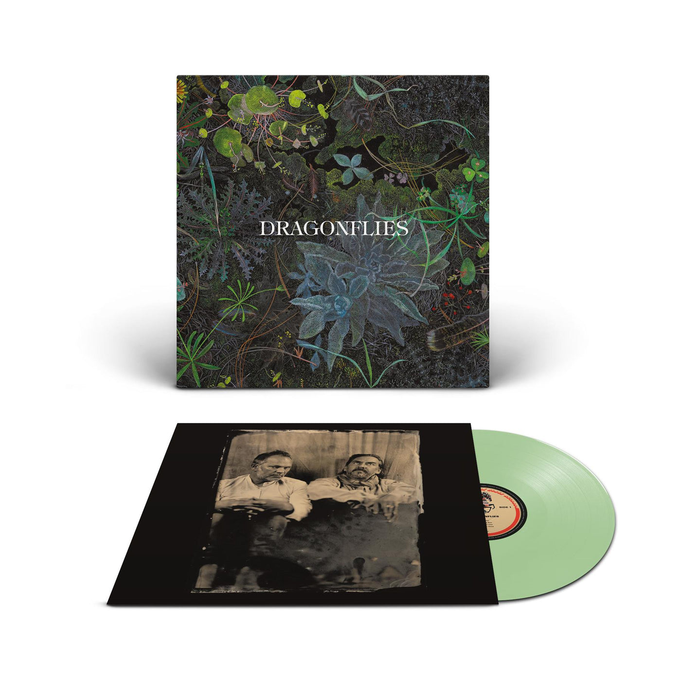 Dragonflies - Dragonflies