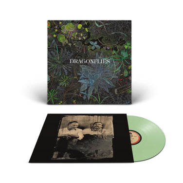 Dragonflies - Dragonflies