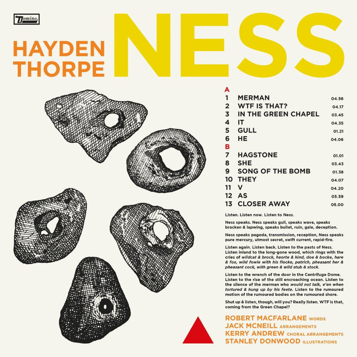 Hayden Thorpe - Ness Biovinyl LP