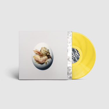 Shygirl - SWALLOW