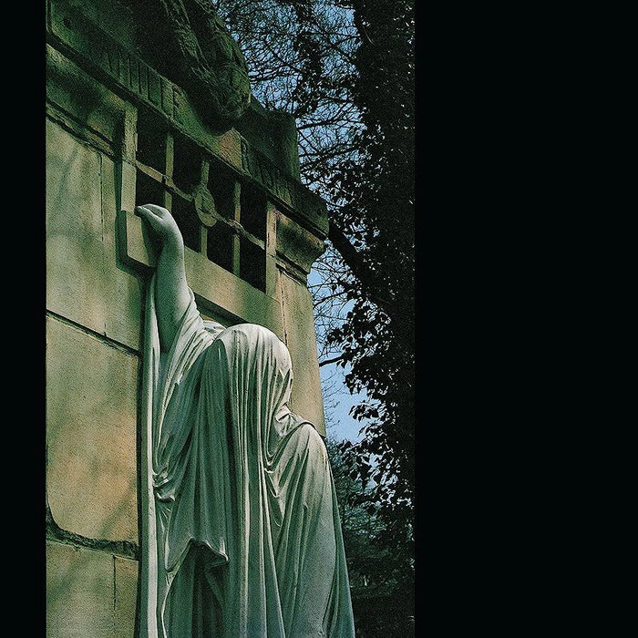 Dead Can Dance - Within The Realm Of A Dying Sun Vinyl LP