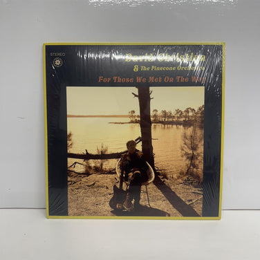 David Christian & The Pinecone Orchestra - For Those We Met On The Way Vinyl LP