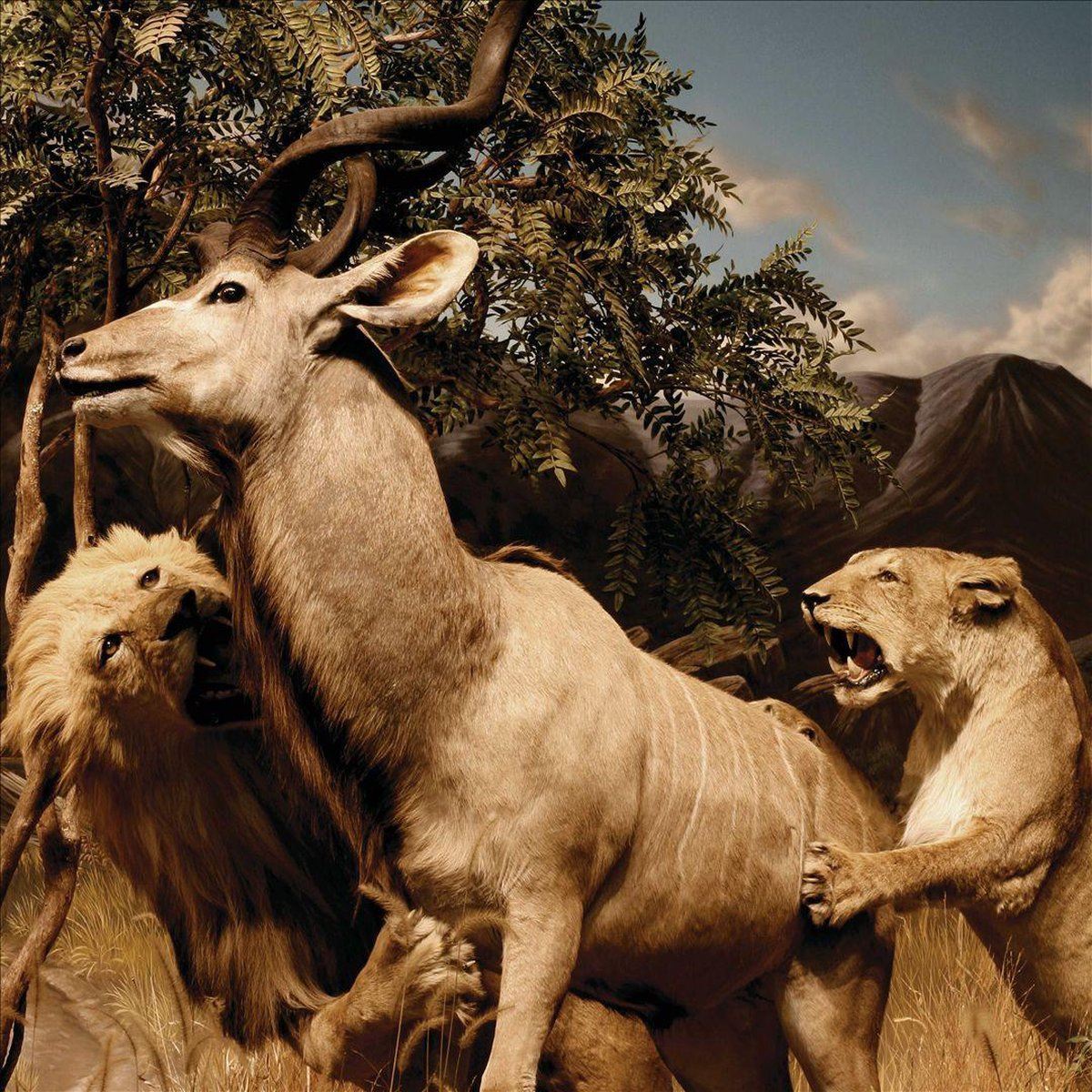 Interpol - Our Love To Admire 2x Vinyl LP Reissue