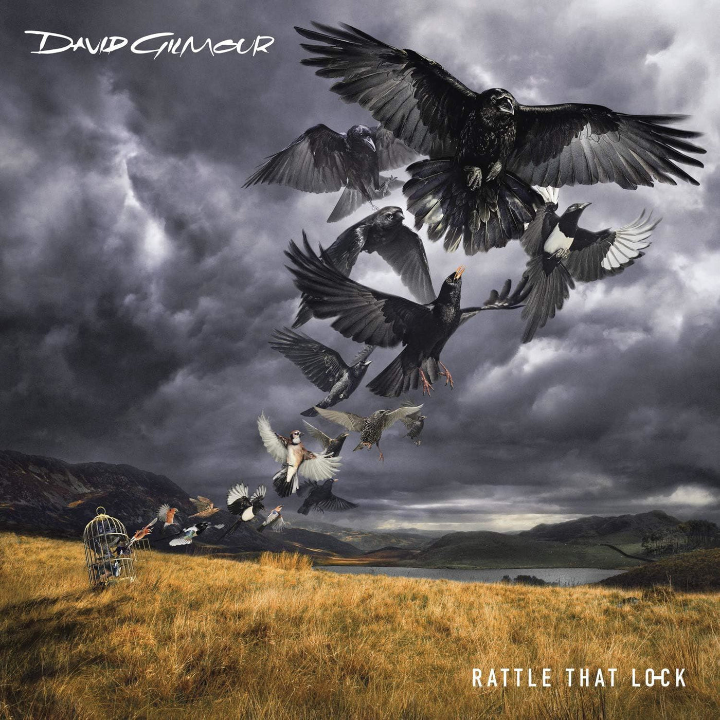 David Gilmour - Rattle That Lock Vinyl LP