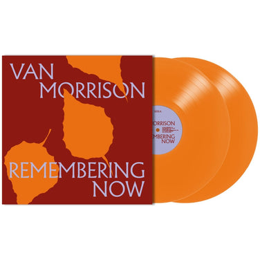 Van Morrison - Remembering Now