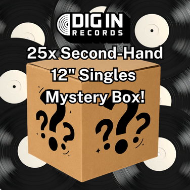 Mixed Genre Used 12" Vinyl Single Mystery Box - x20