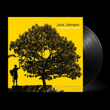 Jack Johnson - In Between Dreams Vinyl LP