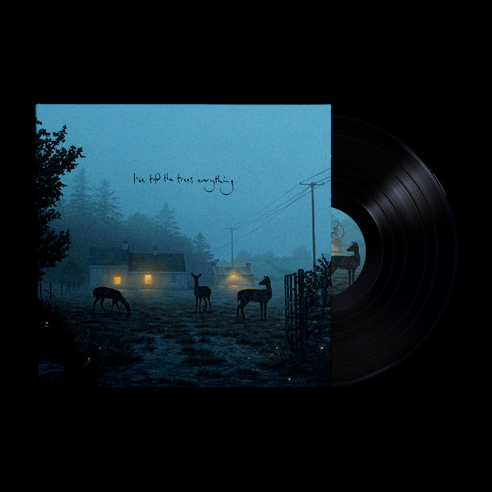 Dermot Kennedy - I’ve told the trees everything Vinyl EP