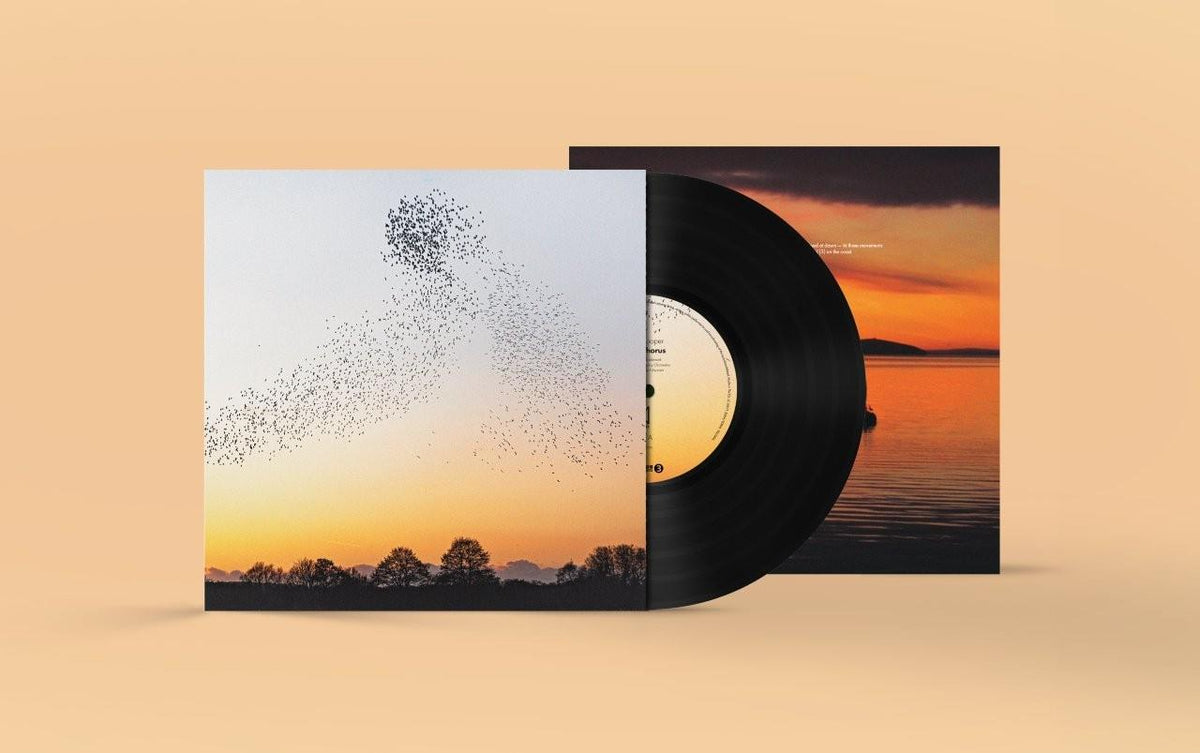 Erland Cooper - Dawn Chorus