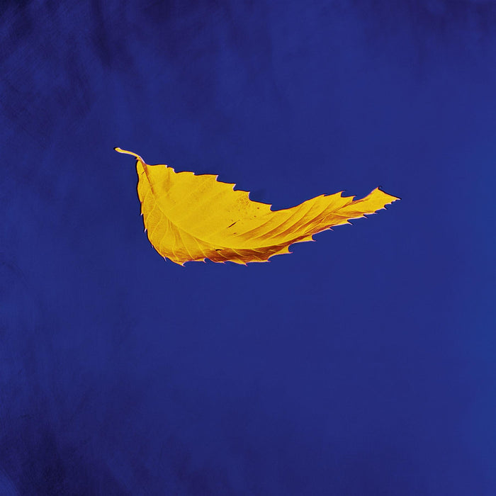 New Order - True Faith 12" Vinyl Single Remastered