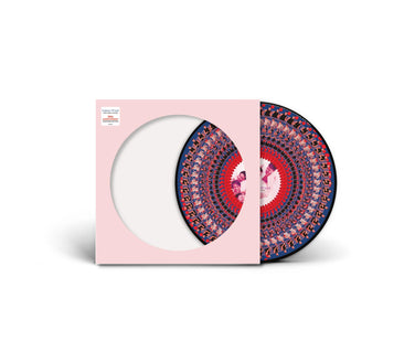 Take That - Everything Changes National Album Day Zoetrope Picture Disc Vinyl LP