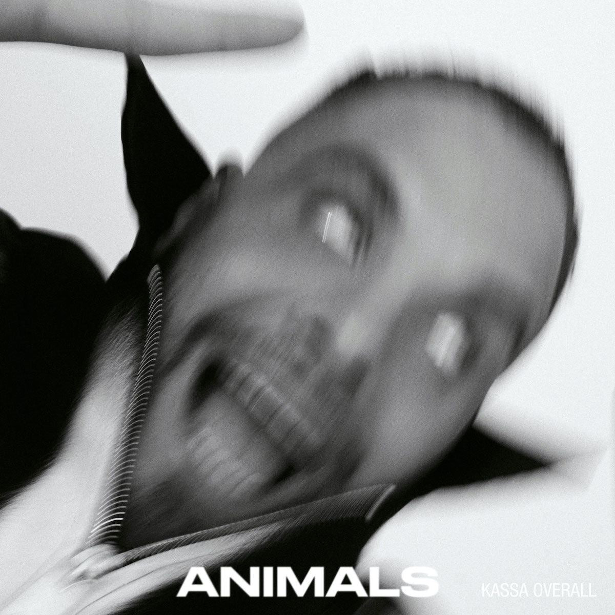 Kassa Overall - Animals Vinyl LP | Dig In Records
