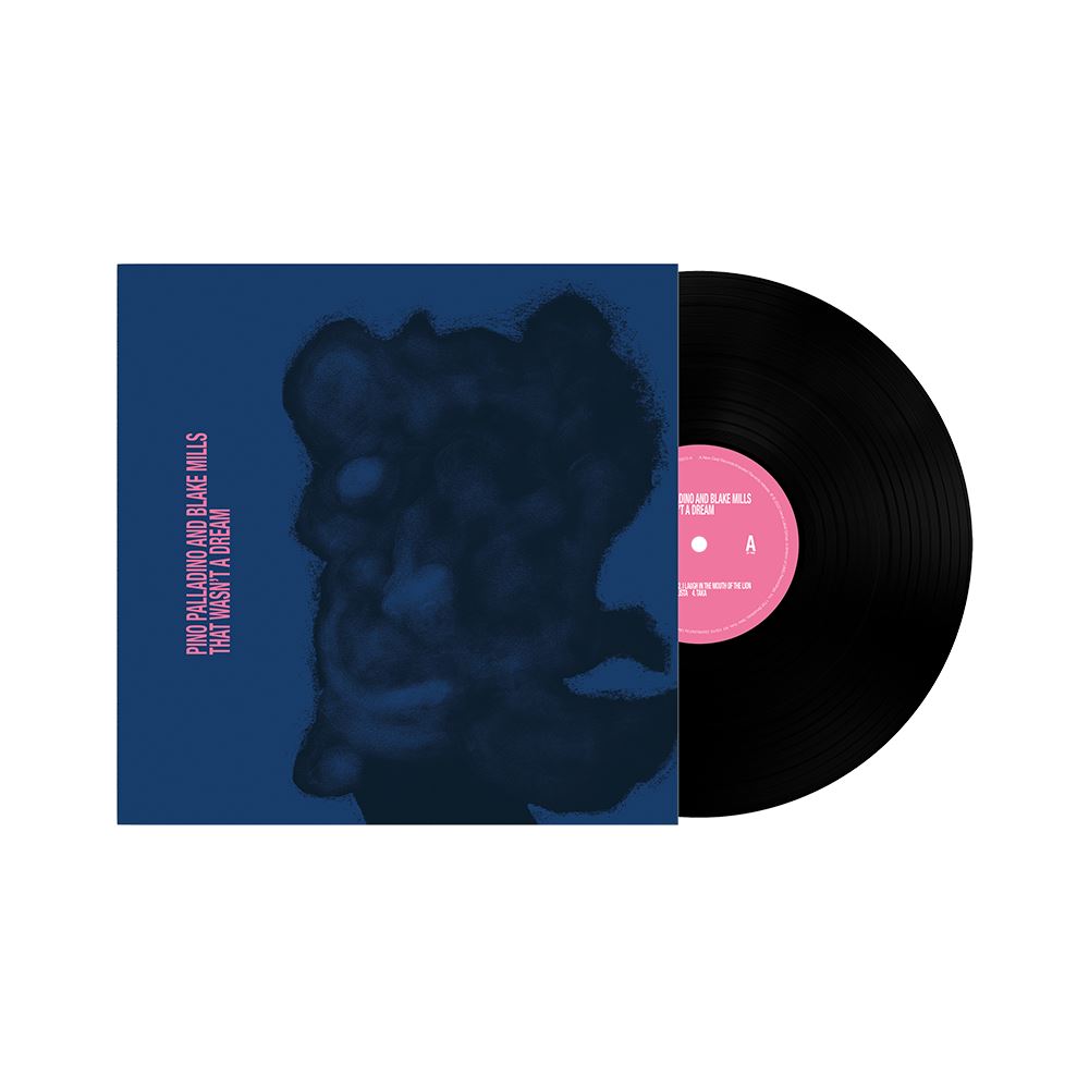 Pino Palladino & Blake Mills - That Wasn't a Dream