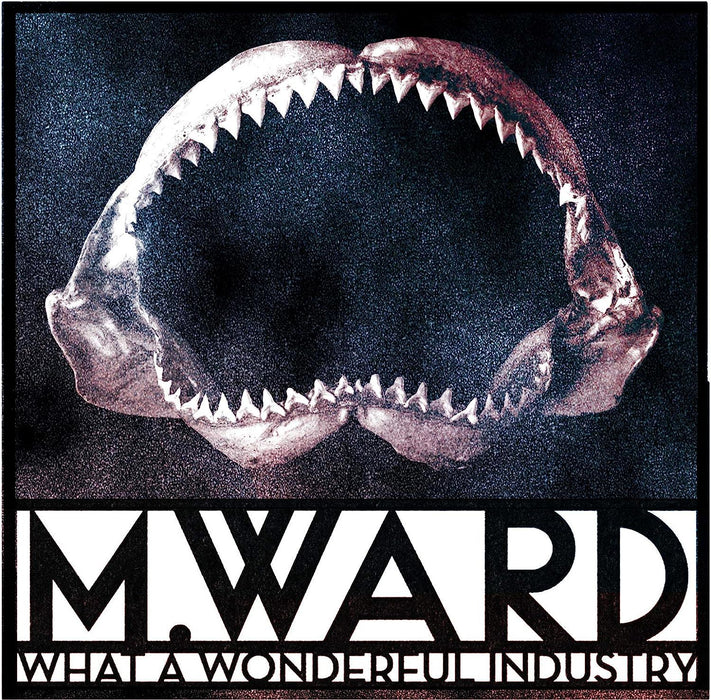M. Ward - What A Wonderful Industry Cloudy Clear Vinyl LP