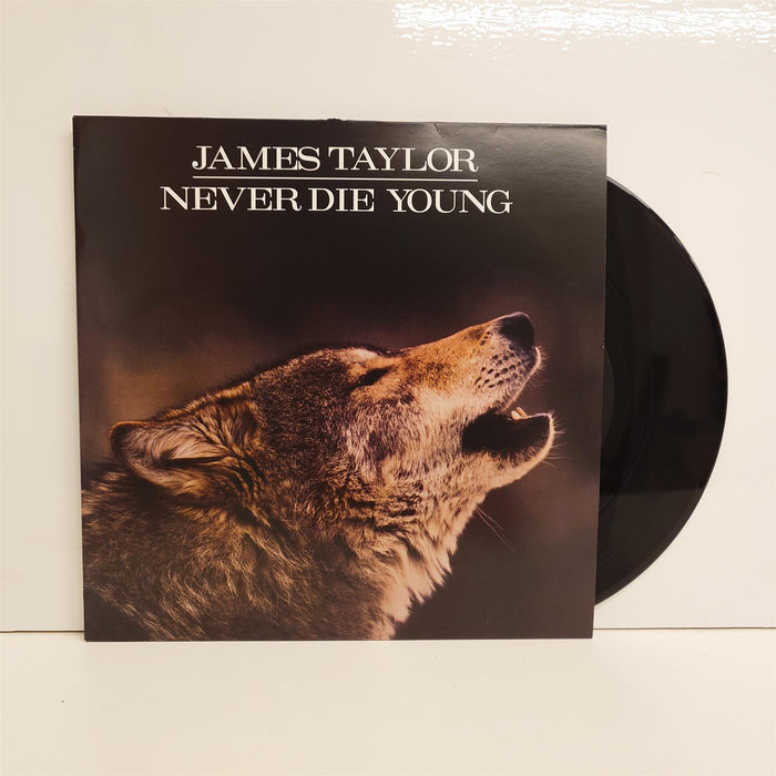 James Taylor - Never Die Young 180G Vinyl LP