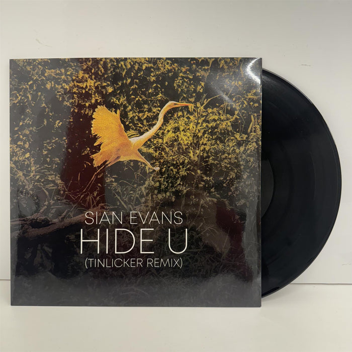 Sian Evans - Hide U (Tinlicker Remix) 12" Vinyl Single