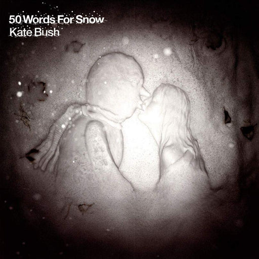 Kate Bush - 50 Words For Snow 2x 180G Vinyl LP Reissue New collectable releases UK record store sell used